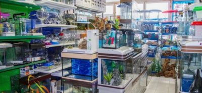 Магазин аквариумистики в Дмитрове
